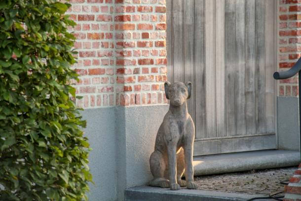 Nieuwbouw Beerzel 10